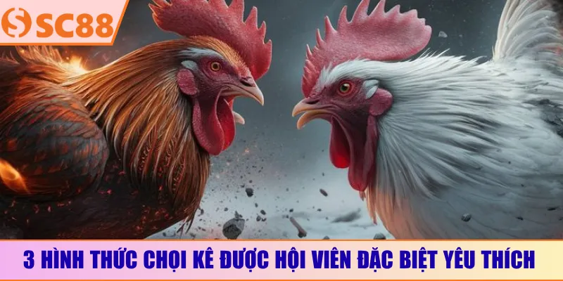 3 hình thức chọi kê được hội viên đặc biệt yêu thích